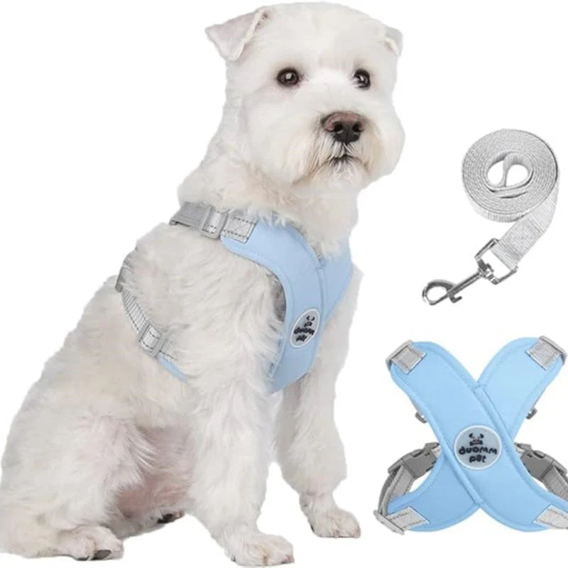 🐕🛡️ X-alakú fulladásmentes kutyahám – Egyenletes nyomáselosztás, kicsúszás elleni védelem, kis testű kutyáknak! 🌿✨