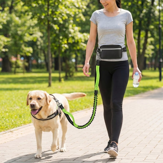 🐕⚡ DOGZIP kéz nélküli futópóráz – Rugalmas rész 193 cm-ig, elnyeli a rántásokat, védi a csuklódat és a derekadat! 🏃♂️🛡️