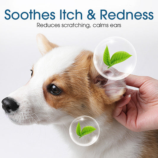 🎁1+1 INGYEN (2 db)🐕🌿 Természetes fültisztító macskáknak és kutyáknak – Gyulladáscsökkentő, nyugtató növényi kivonatokkal! 🐱💚