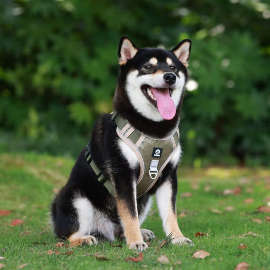 🐶 Multifunkcionális hám nagy kutyáknak🦮 Húzásgátló kutyahám pórázzal és nyakörvvel, LED-es kiegészítővel!