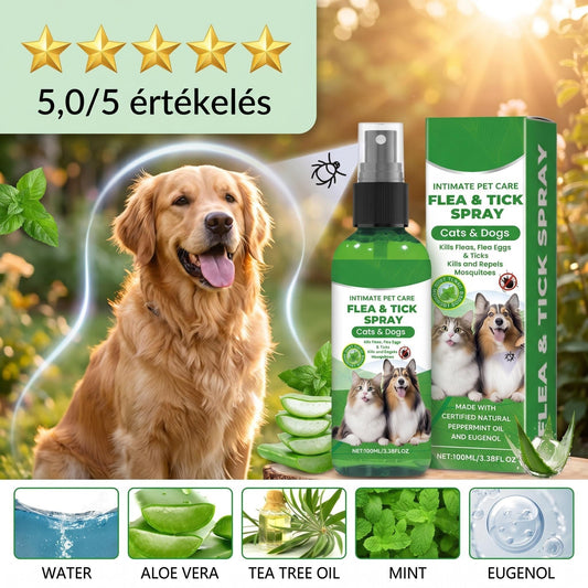 📣🔥1+1 ingyenes🐕🌿 100%-ban természetes bolha- és kullancsirtó spray – Biztonságos kutyáknak és macskáknak! 🐱✨