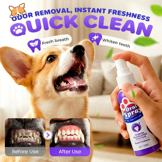 🔥🔥2+2 ingyenes🐾 2026 Új kiadás! Állatfogtisztító spray – Nincs szükség fogkefére!