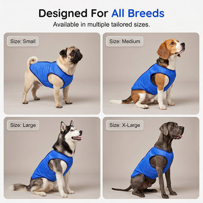 🐕❄️ Prémium hűtő mellény kutyáknak – 3D hálós anyag, maximális légáteresztés, S–L-ig! 🌿💙
