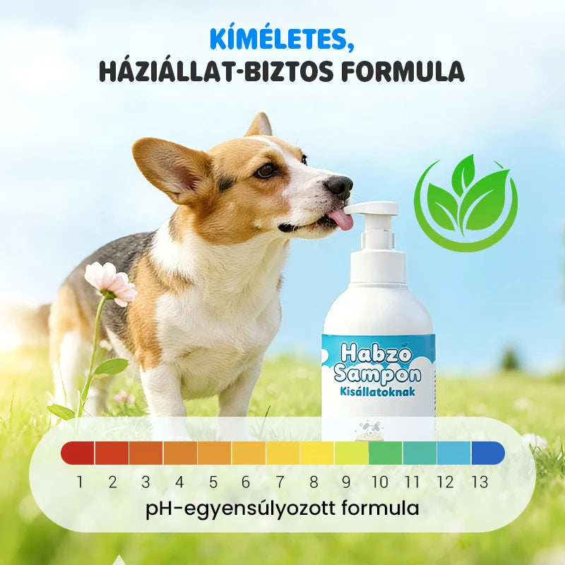 🐕🧴 Habzó sampon kisállatoknak – 3 lépéses tisztítás, pH-egyensúlyozott, természetes hipoallergén összetevőkkel! 🐱✨