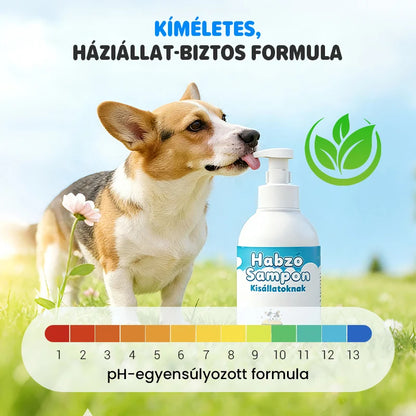 🐕🧴 Habzó sampon kisállatoknak – 3 lépéses tisztítás, pH-egyensúlyozott, természetes hipoallergén összetevőkkel! 🐱✨
