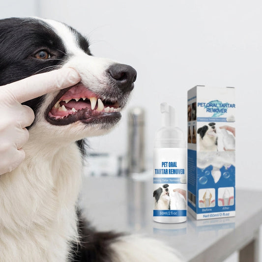 🎁 1+1 INGYEN (2 db)🐾 Háziállat fogkőeltávolító hab – Könnyű szájápolás fogmosás nélkül！