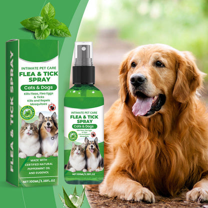 📣🔥1+1 ingyenes🐕🌿 100%-ban természetes bolha- és kullancsirtó spray – Biztonságos kutyáknak és macskáknak! 🐱✨