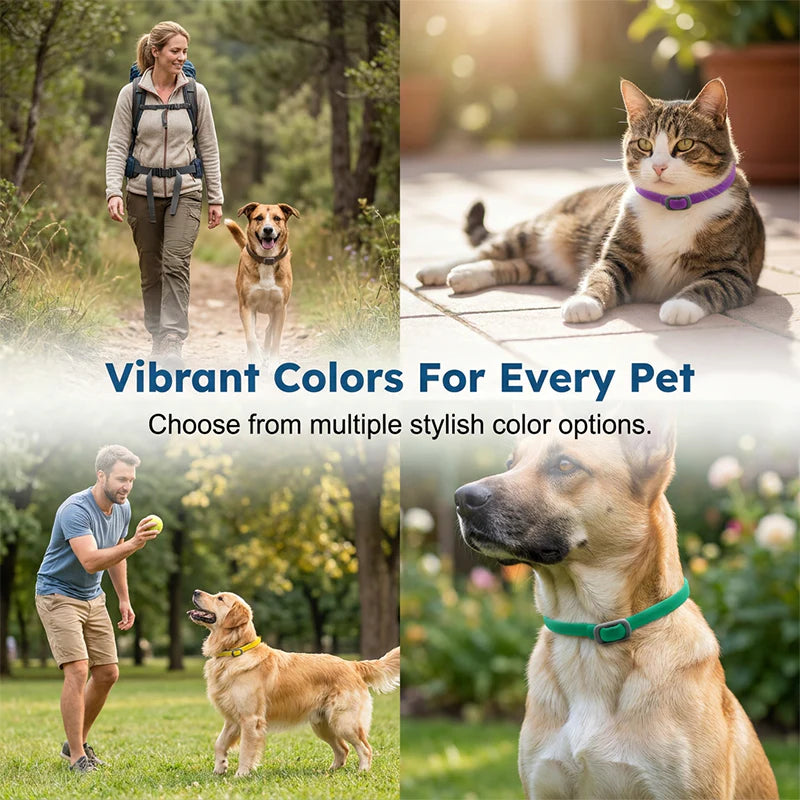🎁1+1 INGYEN (2 db)🐕🌿Természetes illóolajos bolha- és kullancsriasztó nyakörv – Akár 8 hónapig tartó védelem! 🛡️✨