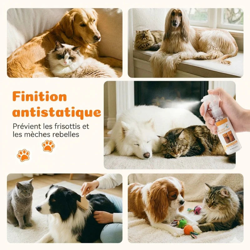 🔥1+1 ingyenes🐾 Kíméletes háziállat ápoló spray🍊 Narancsillatú állati szőrápoló spray – Szagtalanítás és könnyű fésülés！
