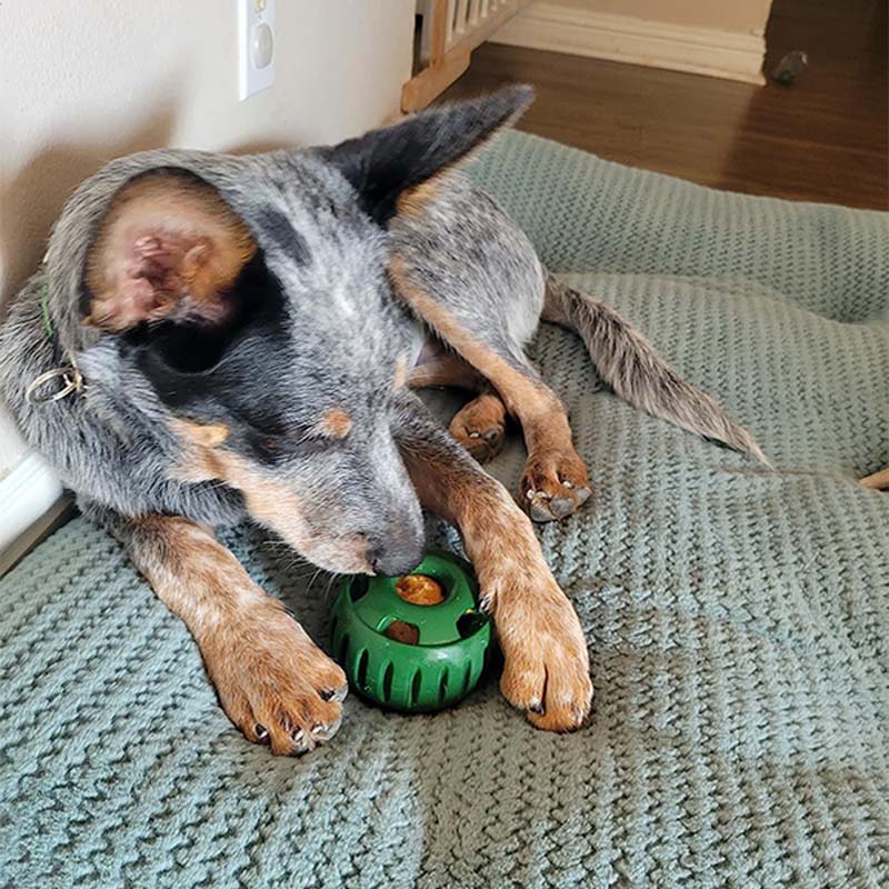 💕🐶Szilikon lassú etető kutyajáték 🐕🧊Fagyasztható jutalomfalat készítő szett – Biztonságos szilikon, mosogatógépben tisztítható!
