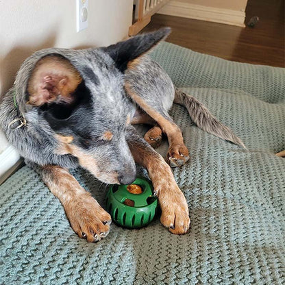 💕🐶Szilikon lassú etető kutyajáték 🐕🧊Fagyasztható jutalomfalat készítő szett – Biztonságos szilikon, mosogatógépben tisztítható!