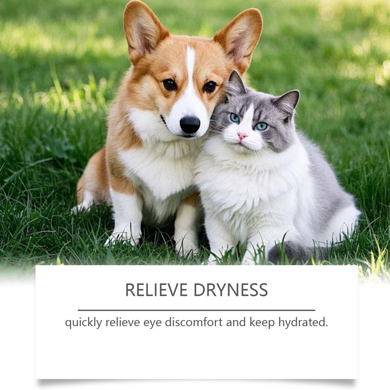 🌈2+1 INGYEN👁️ Kutyák és macskák szemcsepp🐾 Hidratáló állati szemcsepp – Mindennapi gyengéd szemápolás！