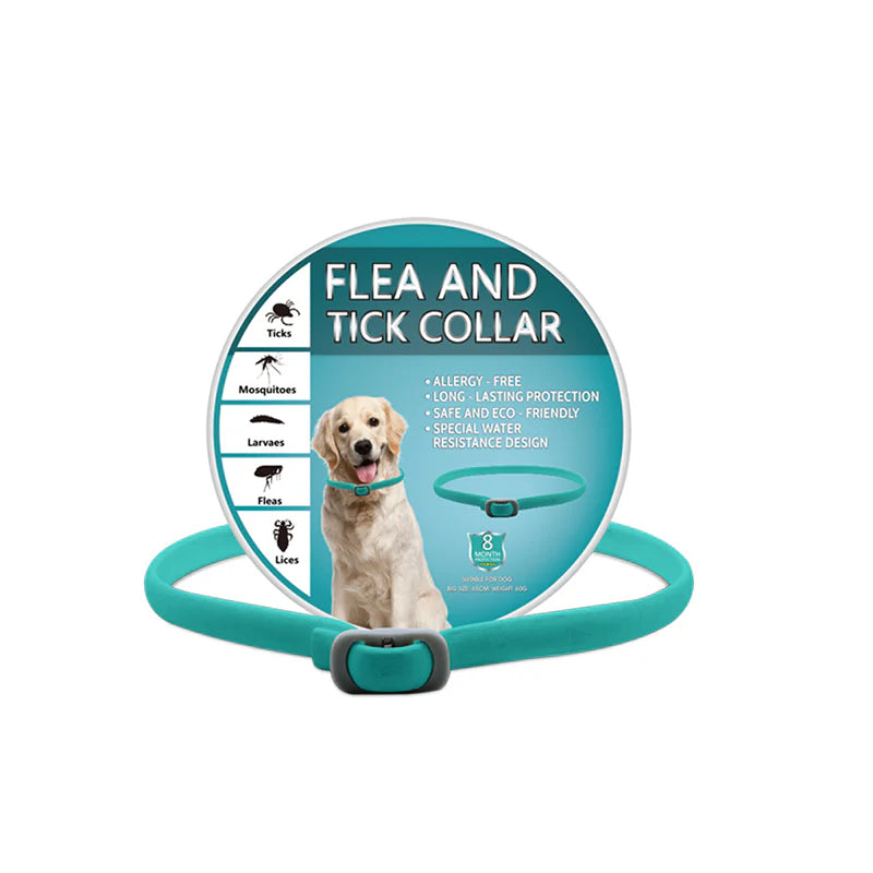 🎁1+1 INGYEN (2 db)🐕🌿Természetes illóolajos bolha- és kullancsriasztó nyakörv – Akár 8 hónapig tartó védelem! 🛡️✨
