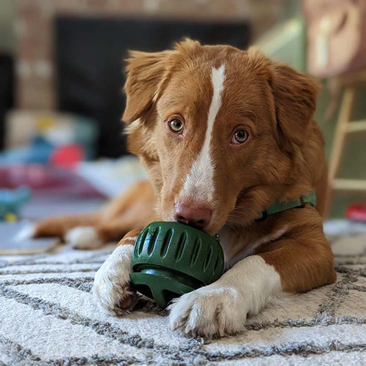 💕🐶Szilikon lassú etető kutyajáték 🐕🧊Fagyasztható jutalomfalat készítő szett – Biztonságos szilikon, mosogatógépben tisztítható!