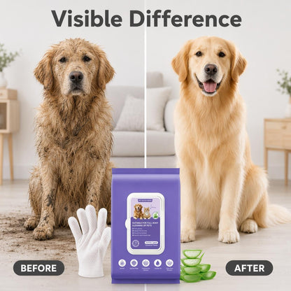🐕🧤 Öblítés nélküli tisztítókesztyű – Texturált gyöngyházfelület, alkohol- és fehérítőmentes, teljes testre! 🐱✨