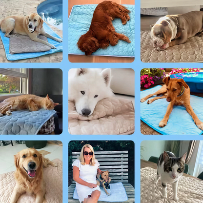 🐱🐶Emalova – Hűsítő matrac a nyárra❄️ Háziállat hűtőalátét – Áram és víz nélkül hűt kutyák és macskák számára!