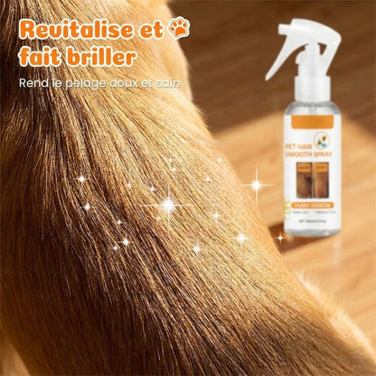🔥1+1 ingyenes🐾 Kíméletes háziállat ápoló spray🍊 Narancsillatú állati szőrápoló spray – Szagtalanítás és könnyű fésülés！