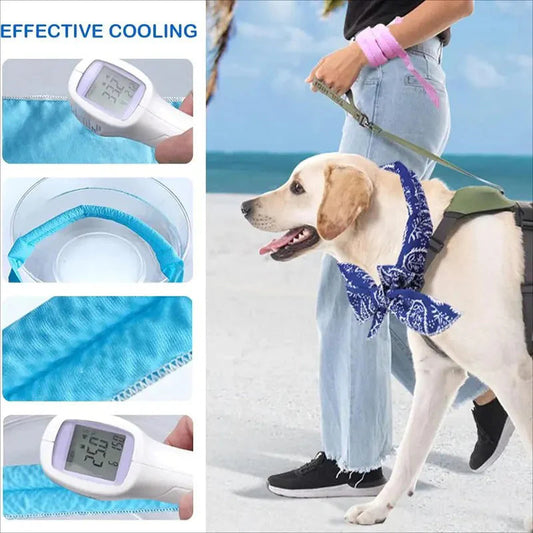 🔥1+1 ingyen (2 db)🐶🐱❄️Nyári hűtő nyakpánt háziállatoknak💧Vízelnyelő polimer gyöngyök🔄 Újrafelhasználható és gazdaságos!