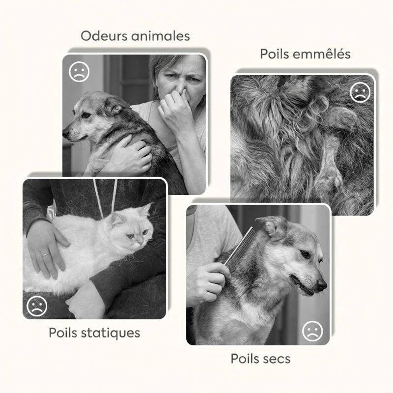 🔥1+1 ingyenes🐾 Kíméletes háziállat ápoló spray🍊 Narancsillatú állati szőrápoló spray – Szagtalanítás és könnyű fésülés！