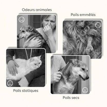 🔥1+1 ingyenes🐾 Kíméletes háziállat ápoló spray🍊 Narancsillatú állati szőrápoló spray – Szagtalanítás és könnyű fésülés！