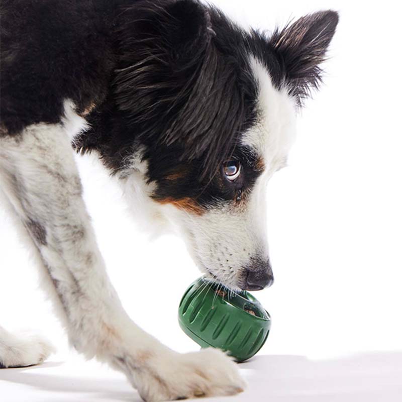 💕🐶Szilikon lassú etető kutyajáték 🐕🧊Fagyasztható jutalomfalat készítő szett – Biztonságos szilikon, mosogatógépben tisztítható!