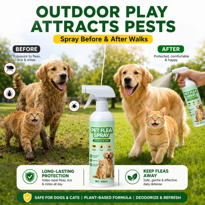 🐕🌿 3 az 1-ben bolha- és atkairtó spray – Növényi összetétel, hosszú távú védelem, 300 ml! 🐱✨