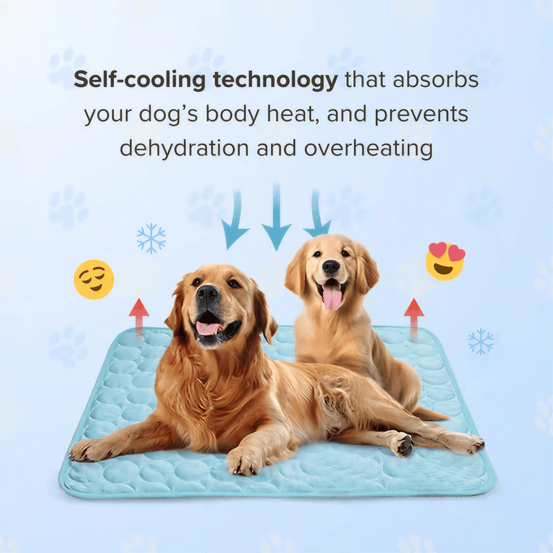 🐱🐶Emalova – Hűsítő matrac a nyárra❄️ Háziállat hűtőalátét – Áram és víz nélkül hűt kutyák és macskák számára!