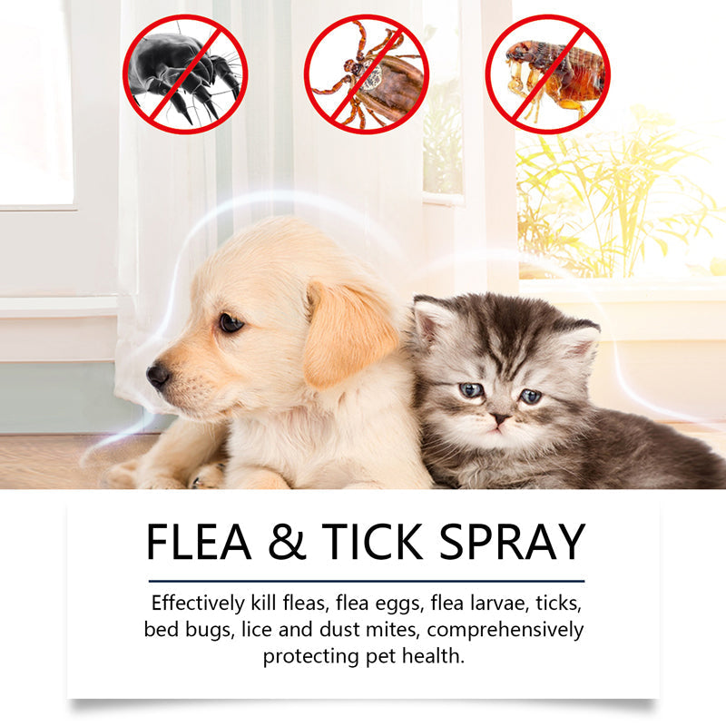 📣🔥1+1 ingyenes🐕🌿 100%-ban természetes bolha- és kullancsirtó spray – Biztonságos kutyáknak és macskáknak! 🐱✨