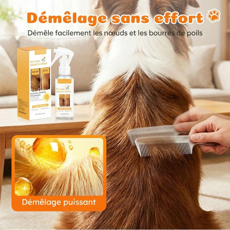 🔥1+1 ingyenes🐾 Kíméletes háziállat ápoló spray🍊 Narancsillatú állati szőrápoló spray – Szagtalanítás és könnyű fésülés！