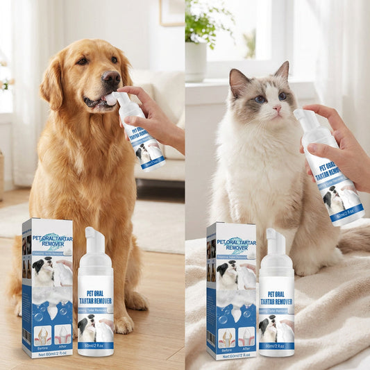 🎁 1+1 INGYEN (2 db)🐾 Háziállat fogkőeltávolító hab – Könnyű szájápolás fogmosás nélkül！
