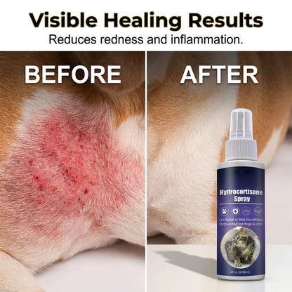 🎁1+1 INGYEN🐶 49% KEDVEZMÉNY a kutyák és macskák számára készült természetes bolha- és kullancsriasztó spray-re ✨