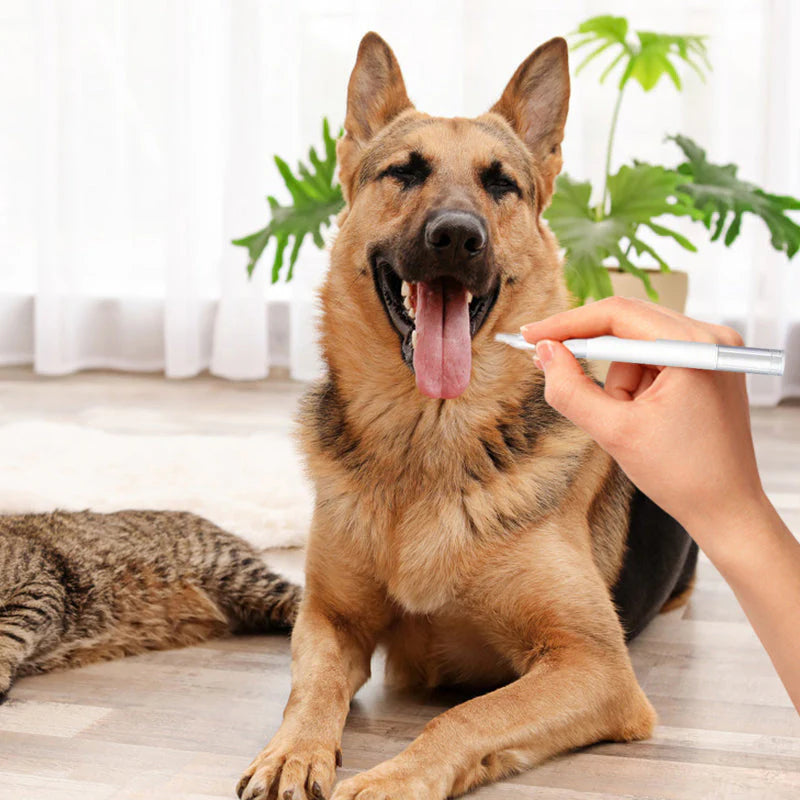 🎁1+1 INGYEN (2 db)💰Többet vásárol, többet spórol!🐱Kutyák és macskák számára készült fogkőeltávolító szer✨🦷