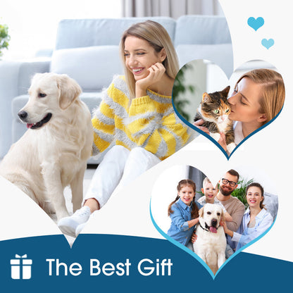 🎁1+1 INGYEN (2 db)🐕🌿 Természetes fültisztító macskáknak és kutyáknak – Gyulladáscsökkentő, nyugtató növényi kivonatokkal! 🐱💚