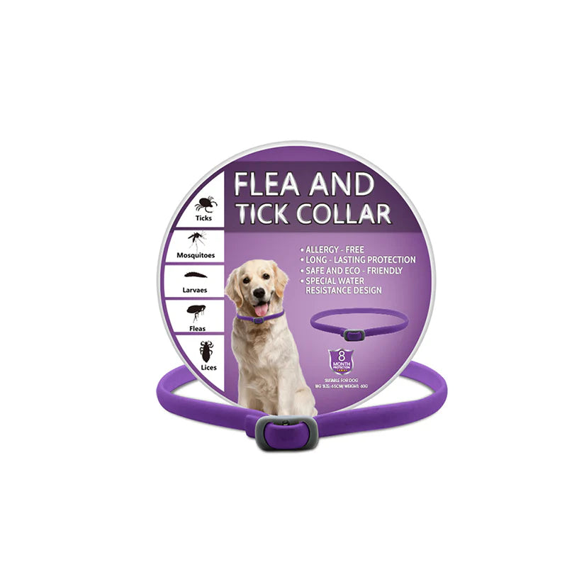 🎁1+1 INGYEN (2 db)🐕🌿Természetes illóolajos bolha- és kullancsriasztó nyakörv – Akár 8 hónapig tartó védelem! 🛡️✨