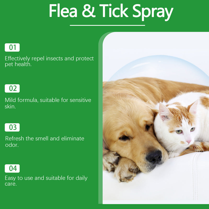 📣🔥1+1 ingyenes🐕🌿 100%-ban természetes bolha- és kullancsirtó spray – Biztonságos kutyáknak és macskáknak! 🐱✨