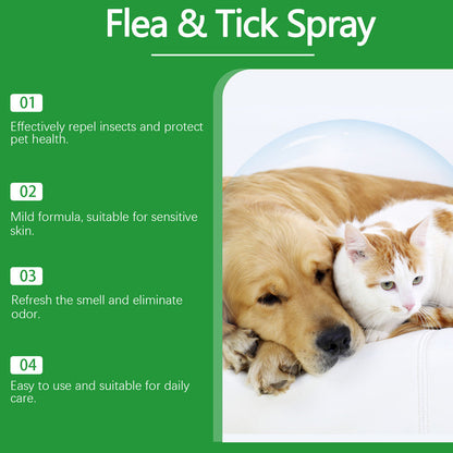 📣🔥1+1 ingyenes🐕🌿 100%-ban természetes bolha- és kullancsirtó spray – Biztonságos kutyáknak és macskáknak! 🐱✨