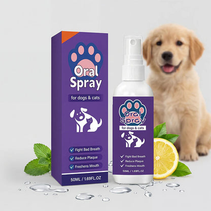 🎁🔥1+1 INGYEN (2 db)🐱🐶 Permet, és máris frissebb a lehelet – Csökkenti a fogkövet, ápolja az ínyt, természetes összetevőkkel!