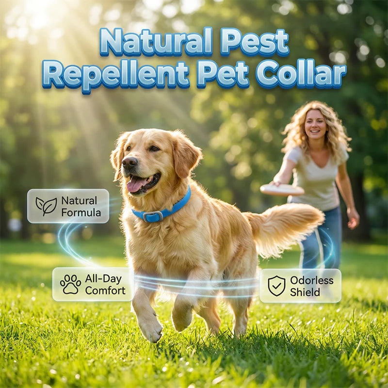 🎁1+1 INGYEN (2 db)🐕🌿Természetes illóolajos bolha- és kullancsriasztó nyakörv – Akár 8 hónapig tartó védelem! 🛡️✨