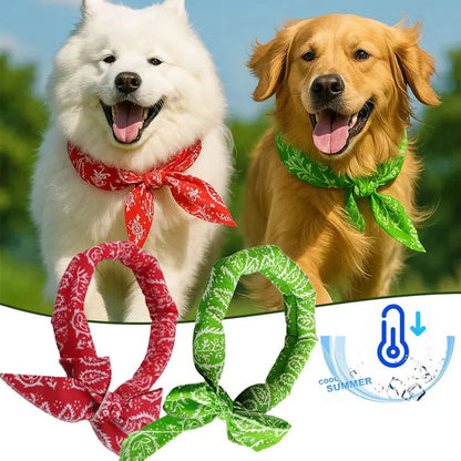🔥1+1 ingyen (2 db)🐶🐱❄️Nyári hűtő nyakpánt háziállatoknak💧Vízelnyelő polimer gyöngyök🔄 Újrafelhasználható és gazdaságos!