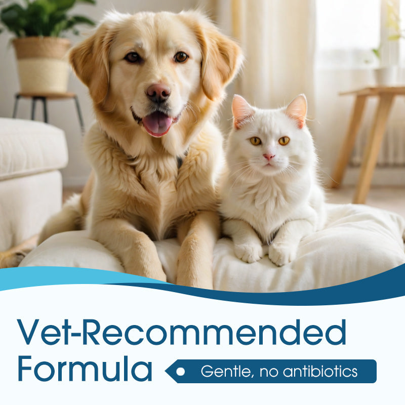 🎁1+1 INGYEN (2 db)🐕🌿 Természetes fültisztító macskáknak és kutyáknak – Gyulladáscsökkentő, nyugtató növényi kivonatokkal! 🐱💚