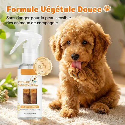 🔥1+1 ingyenes🐾 Kíméletes háziállat ápoló spray🍊 Narancsillatú állati szőrápoló spray – Szagtalanítás és könnyű fésülés！