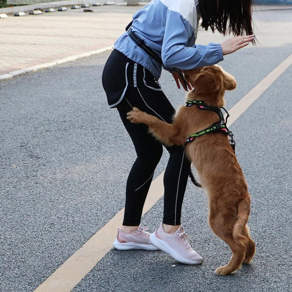 🐕⚡ DOGZIP kéz nélküli futópóráz – Rugalmas rész 193 cm-ig, elnyeli a rántásokat, védi a csuklódat és a derekadat! 🏃‍♂️🛡️