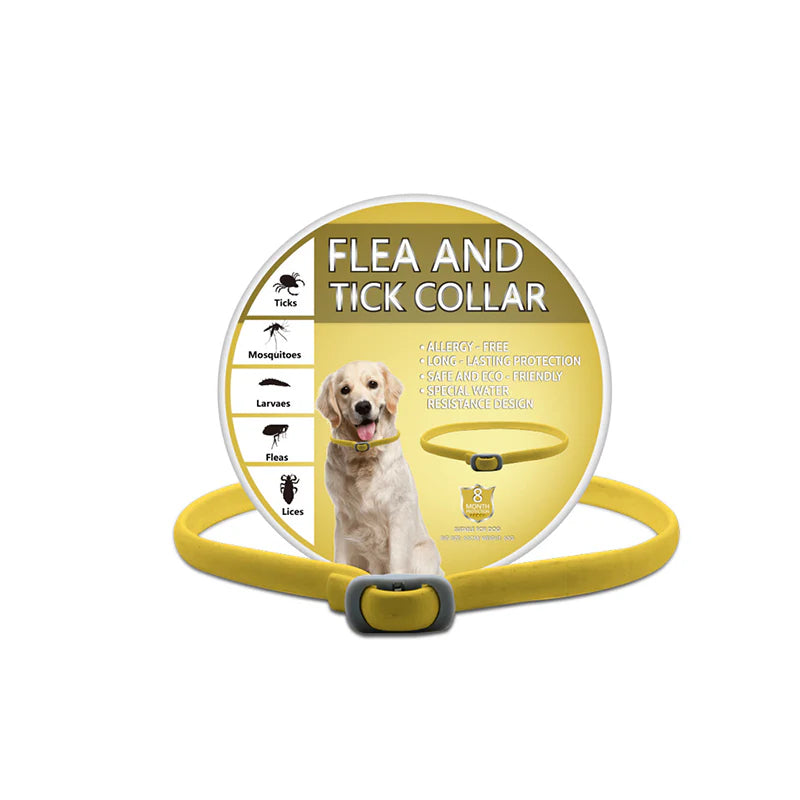 🎁1+1 INGYEN (2 db)🐕🌿Természetes illóolajos bolha- és kullancsriasztó nyakörv – Akár 8 hónapig tartó védelem! 🛡️✨