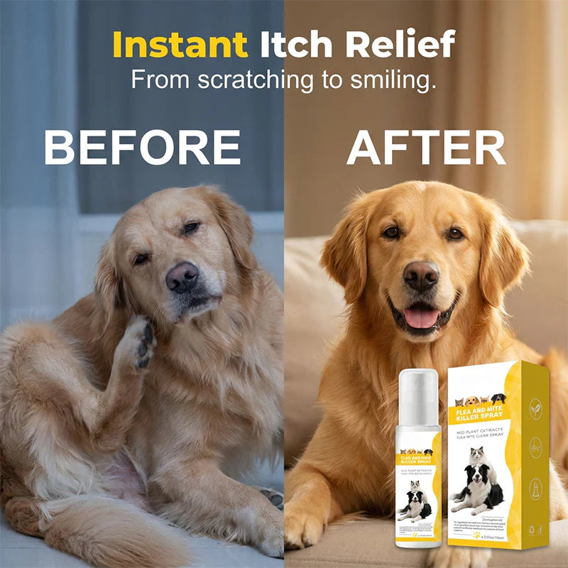🎁🔥1+1 ingyenes🐕🐈 Kutyára, macskára egyaránt🌿 100%-ban növényi alapú bolha!