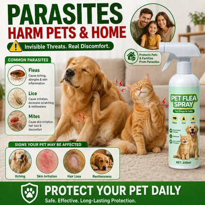🐕🌿 3 az 1-ben bolha- és atkairtó spray – Növényi összetétel, hosszú távú védelem, 300 ml! 🐱✨